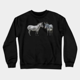 Grevy´s Zebra with Common Zebra in Kenya / Africa Crewneck Sweatshirt